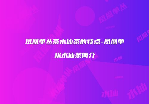 凤凰单丛茶水仙茶的特点-凤凰单枞水仙茶简介