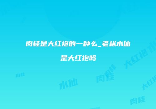 肉桂是大红袍的一种么_老枞水仙是大红袍吗