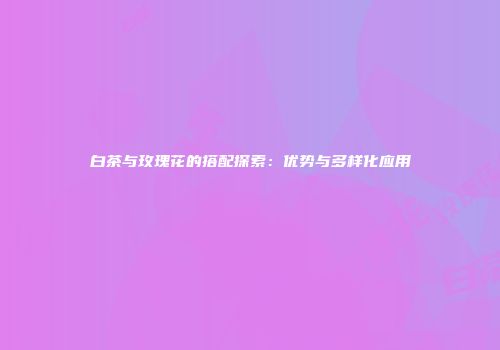白茶与玫瑰花的搭配探索：优势与多样化应用