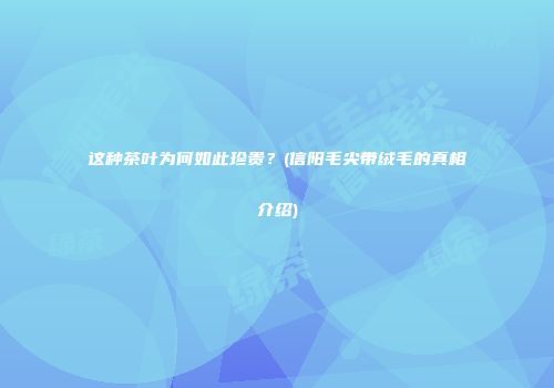 这种茶叶为何如此珍贵？(信阳毛尖带绒毛的真相介绍)