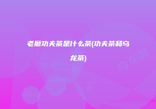 老磨功夫茶是什么茶(功夫茶和乌龙茶)