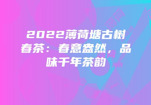 2022薄荷塘古树春茶：春意盎然，品味千年茶韵