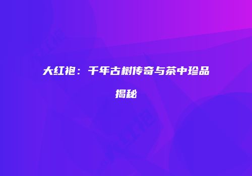 大红袍：千年古树传奇与茶中珍品揭秘