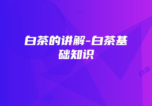 白茶的讲解-白茶基础知识
