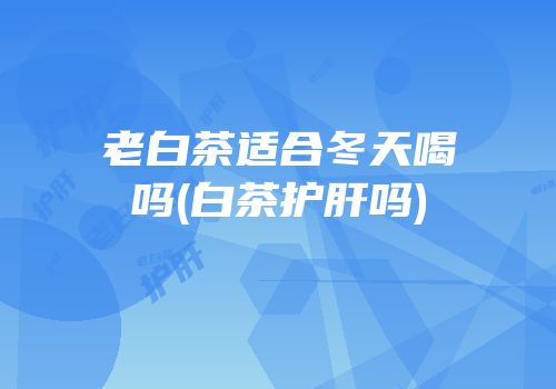 老白茶适合冬天喝吗(白茶护肝吗)