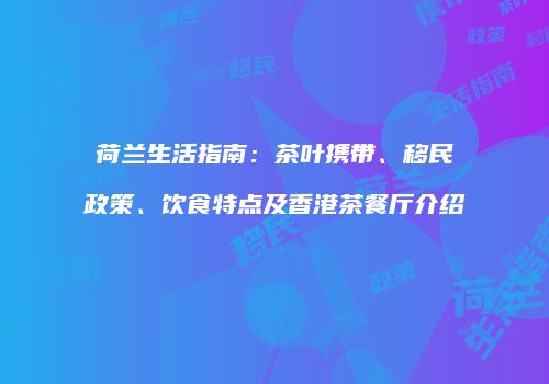 荷兰生活指南：茶叶携带、移民政策、饮食特点及香港茶餐厅介绍