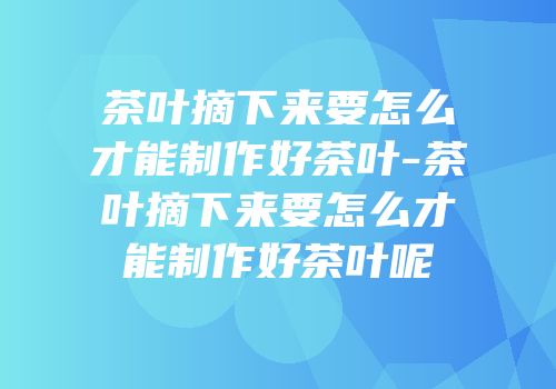 茶叶摘下来要怎么才能制作好茶叶-茶叶摘下来要怎么才能制作好茶叶呢