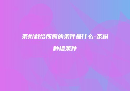 茶树栽培所需的条件是什么-茶树种植条件