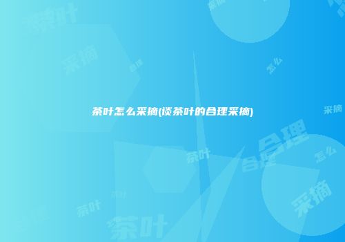 茶叶怎么采摘(谈茶叶的合理采摘)