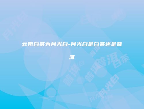云南白茶为月光白-月光白是白茶还是普洱