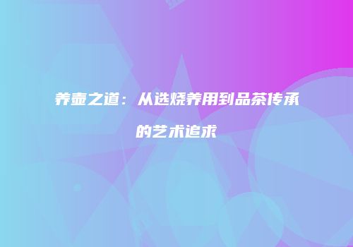 养壶之道：从选烧养用到品茶传承的艺术追求
