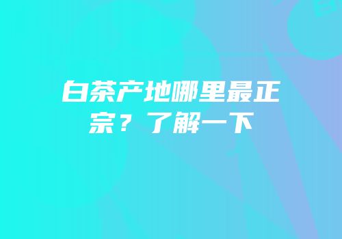 白茶产地哪里最正宗？了解一下