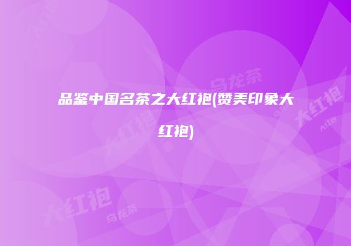 品鉴中国名茶之大红袍(赞美印象大红袍)