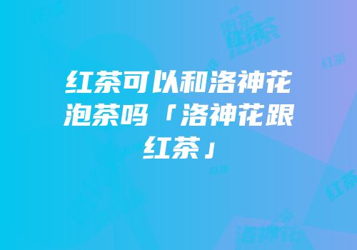 红茶可以和洛神花泡茶吗「洛神花跟红茶」