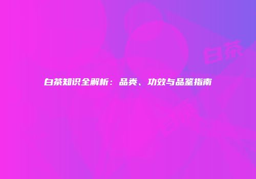 白茶知识全解析：品类、功效与品鉴指南