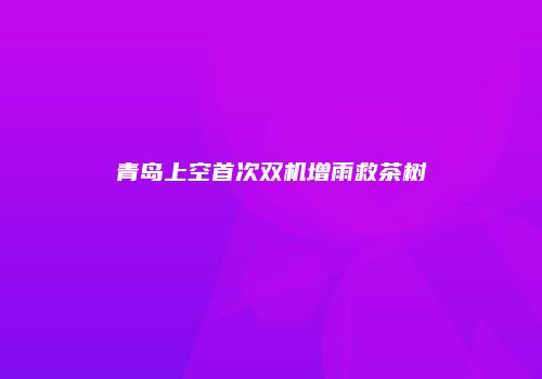青岛上空首次双机增雨救茶树