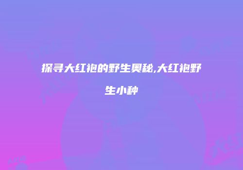 探寻大红袍的野生奥秘,大红袍野生小种