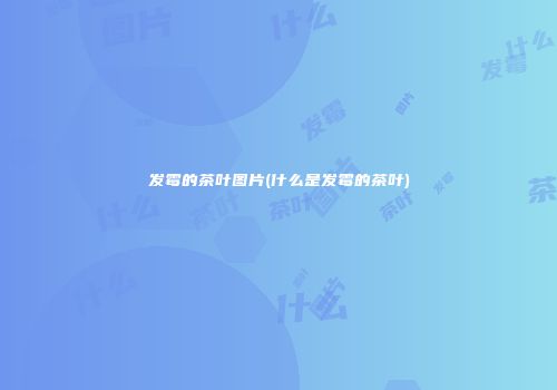 发霉的茶叶图片(什么是发霉的茶叶)