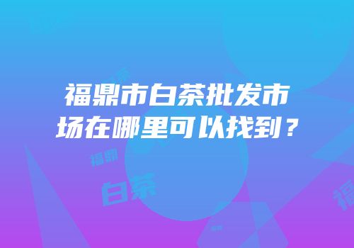 福鼎市白茶批发市场在哪里可以找到？
