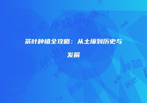 茶叶种植全攻略：从土壤到历史与发展