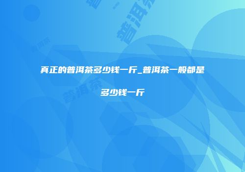 真正的普洱茶多少钱一斤_普洱茶一般都是多少钱一斤