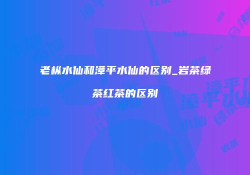 老枞水仙和漳平水仙的区别_岩茶绿茶红茶的区别