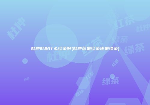 杜仲叶配什么红茶好(杜仲茶是红茶还是绿茶)