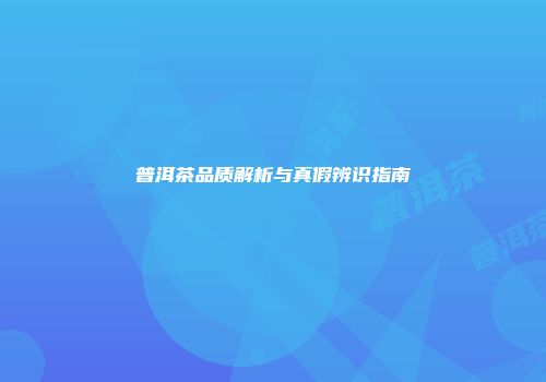 普洱茶品质解析与真假辨识指南