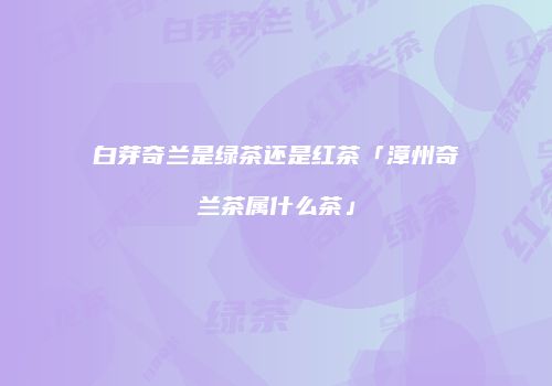 白芽奇兰是绿茶还是红茶「漳州奇兰茶属什么茶」
