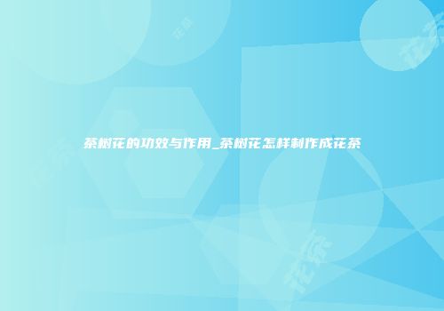 茶树花的功效与作用_茶树花怎样制作成花茶