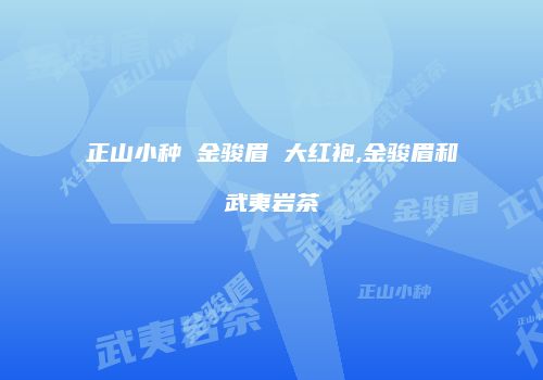 正山小种 金骏眉 大红袍,金骏眉和武夷岩茶
