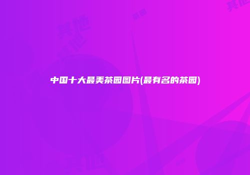 中国十大最美茶园图片(最有名的茶园)