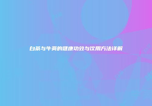 白茶与牛蒡的健康功效与饮用方法详解