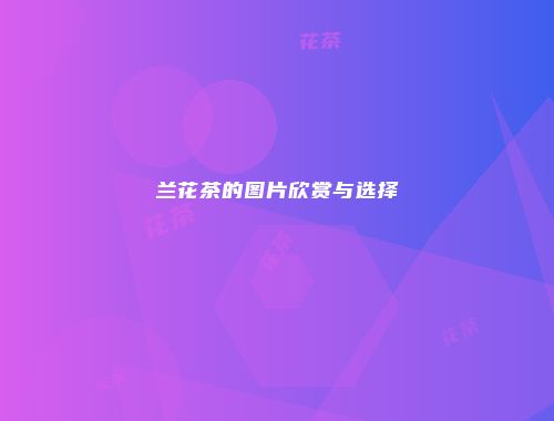 兰花茶的图片欣赏与选择