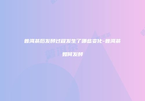 普洱茶后发酵过程发生了哪些变化-普洱茶如何发酵
