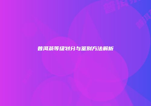 普洱茶等级划分与鉴别方法解析
