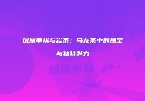 凤凰单枞与岩茶：乌龙茶中的瑰宝与独特魅力