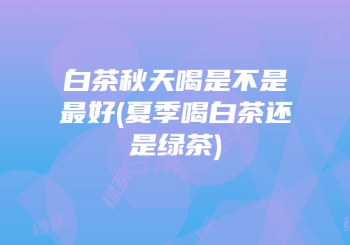 白茶秋天喝是不是最好(夏季喝白茶还是绿茶)