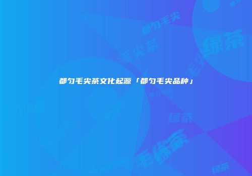 都匀毛尖茶文化起源「都匀毛尖品种」