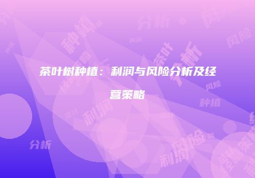 茶叶树种植：利润与风险分析及经营策略
