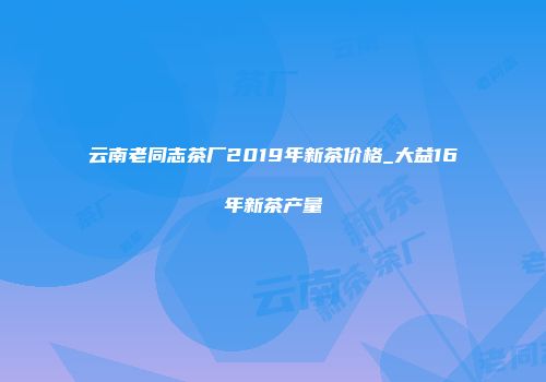 云南老同志茶厂2019年新茶价格_大益16年新茶产量