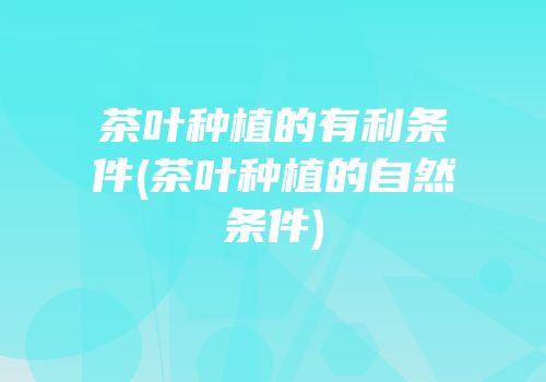 茶叶种植的有利条件(茶叶种植的自然条件)