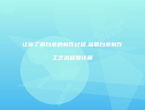 让你了解白茶的制作过程,福鼎白茶制作工艺流程图详解