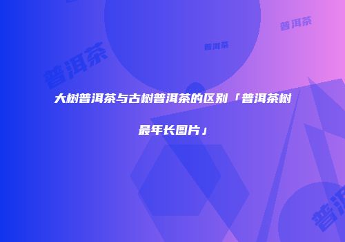 大树普洱茶与古树普洱茶的区别「普洱茶树最年长图片」