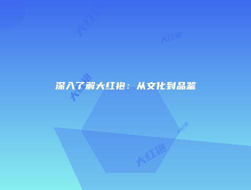 深入了解大红袍：从文化到品鉴