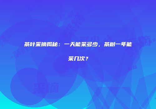 茶叶采摘揭秘：一天能采多少，茶树一年能采几次？