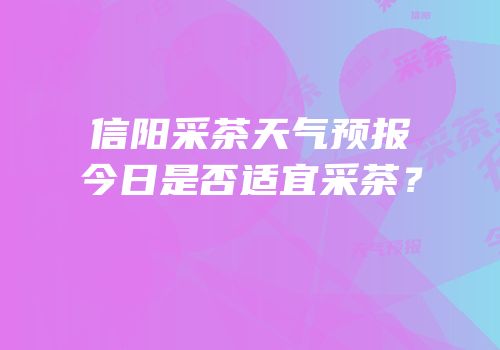 信阳采茶天气预报今日是否适宜采茶？