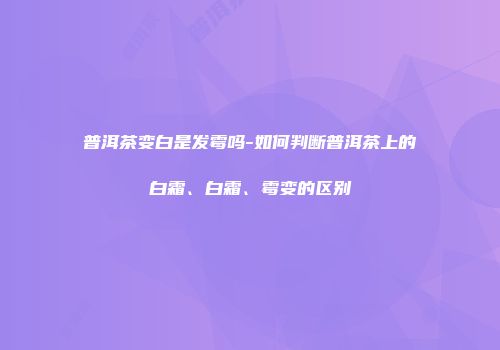 普洱茶变白是发霉吗-如何判断普洱茶上的白霜、白霜、霉变的区别