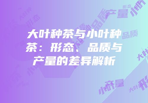大叶种茶与小叶种茶：形态、品质与产量的差异解析