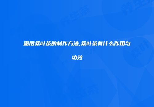 霜后桑叶茶的制作方法,桑叶茶有什么作用与功效